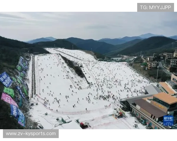 世界高山滑雪赛道生态修复第156期进展通报,国际高山滑雪